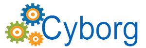 Cybrog IT Services